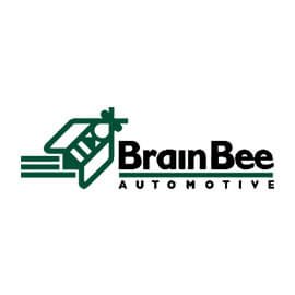 Brain Bee Automotive