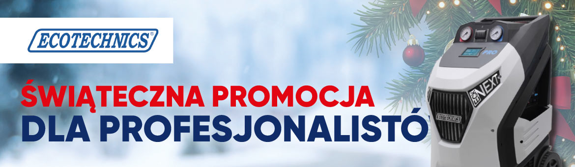 Świąteczna promocja dla profesjonalistów z Ecotechnics