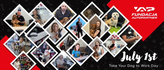 DOGmates at Work – Four-Legged Joy!
