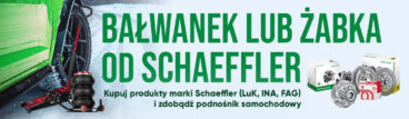 Bałwanek lub żabka od Schaeffler