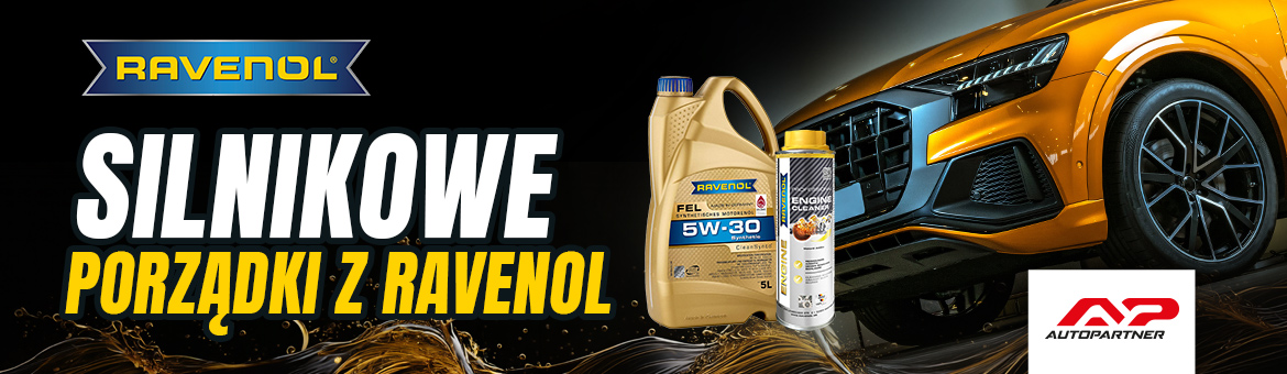 Silnikowe porządki z Ravenol