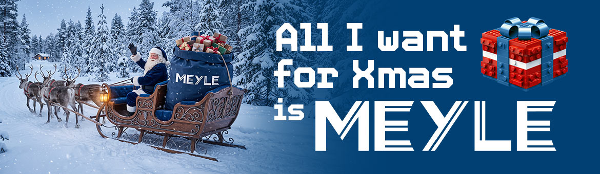 All I want for Xmas is MEYLE